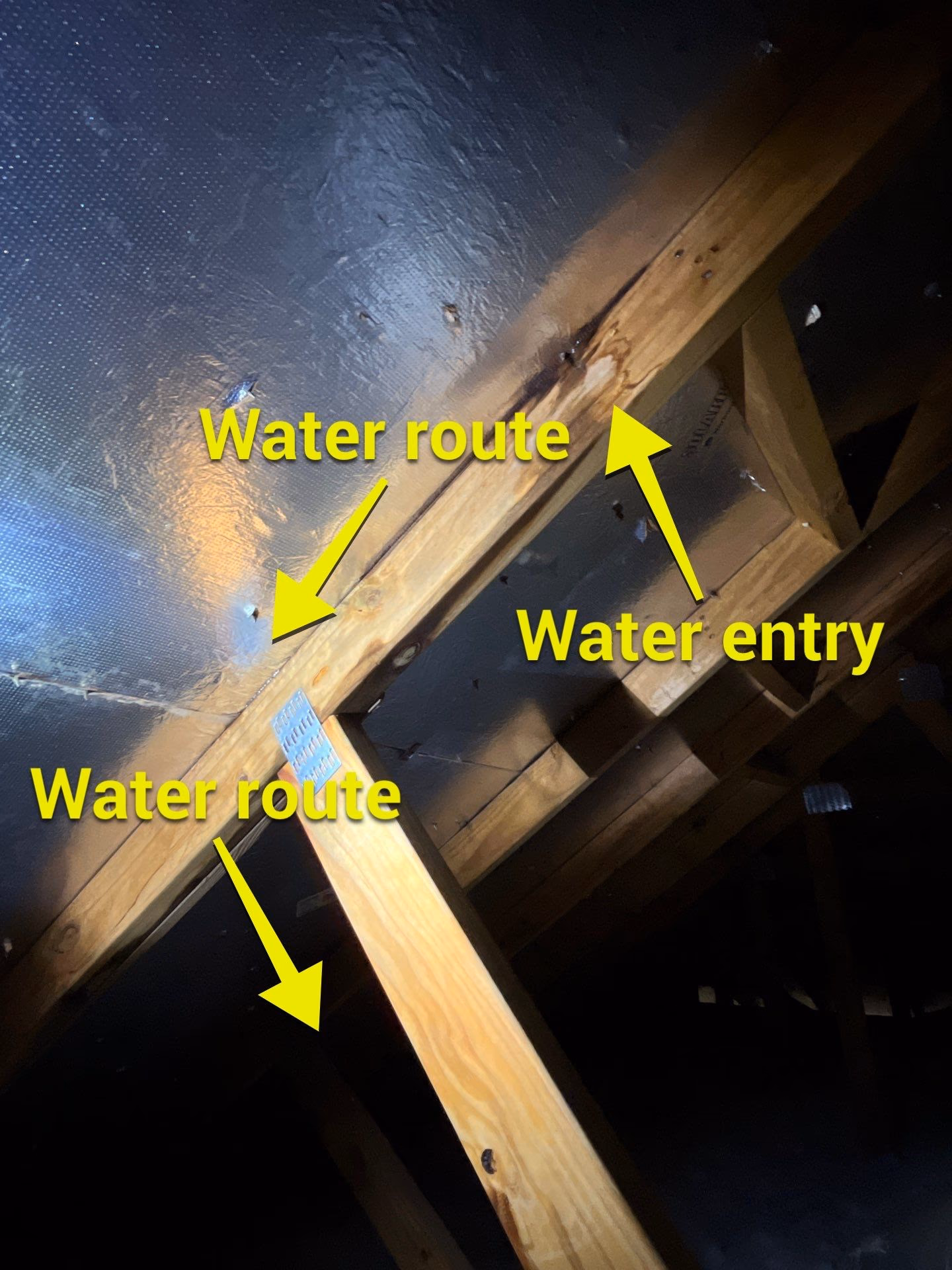Annotated attic inspection photo with yellow arrows marking the water entry point and water routes along a stained rafter