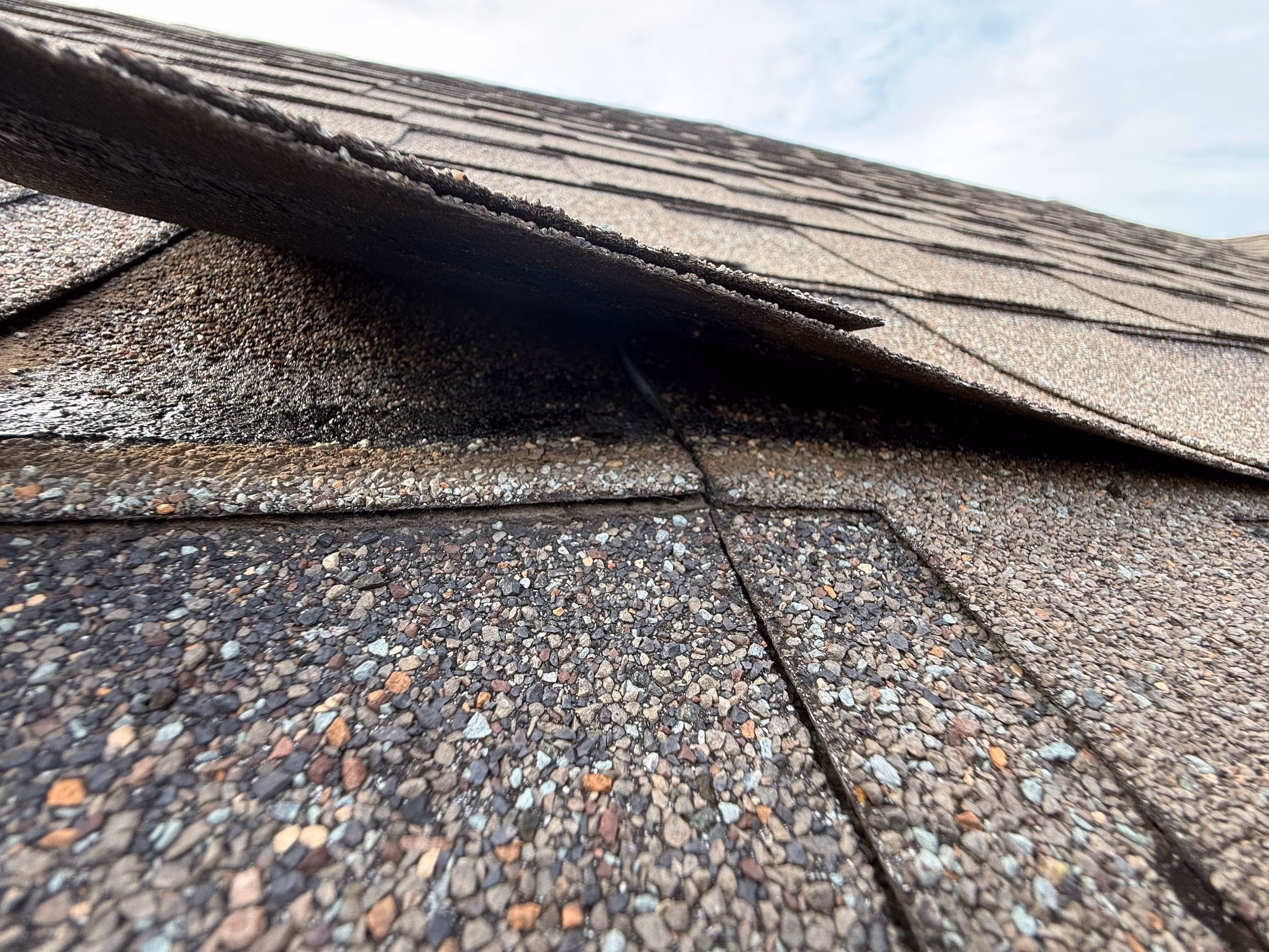 Close up of a lifted and creased field shingle showing wind damage in Manor, TX